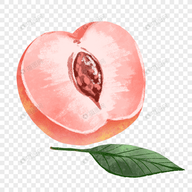 WWW,yyy60·COM网站APPAPP应用